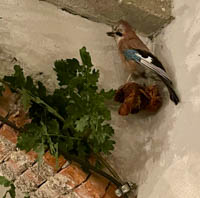 20250925_181340000_iOS 1.jpg